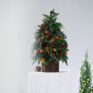 475791040_923420323285878_8874276840825523904_n