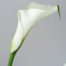 st093