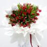 tulipdo